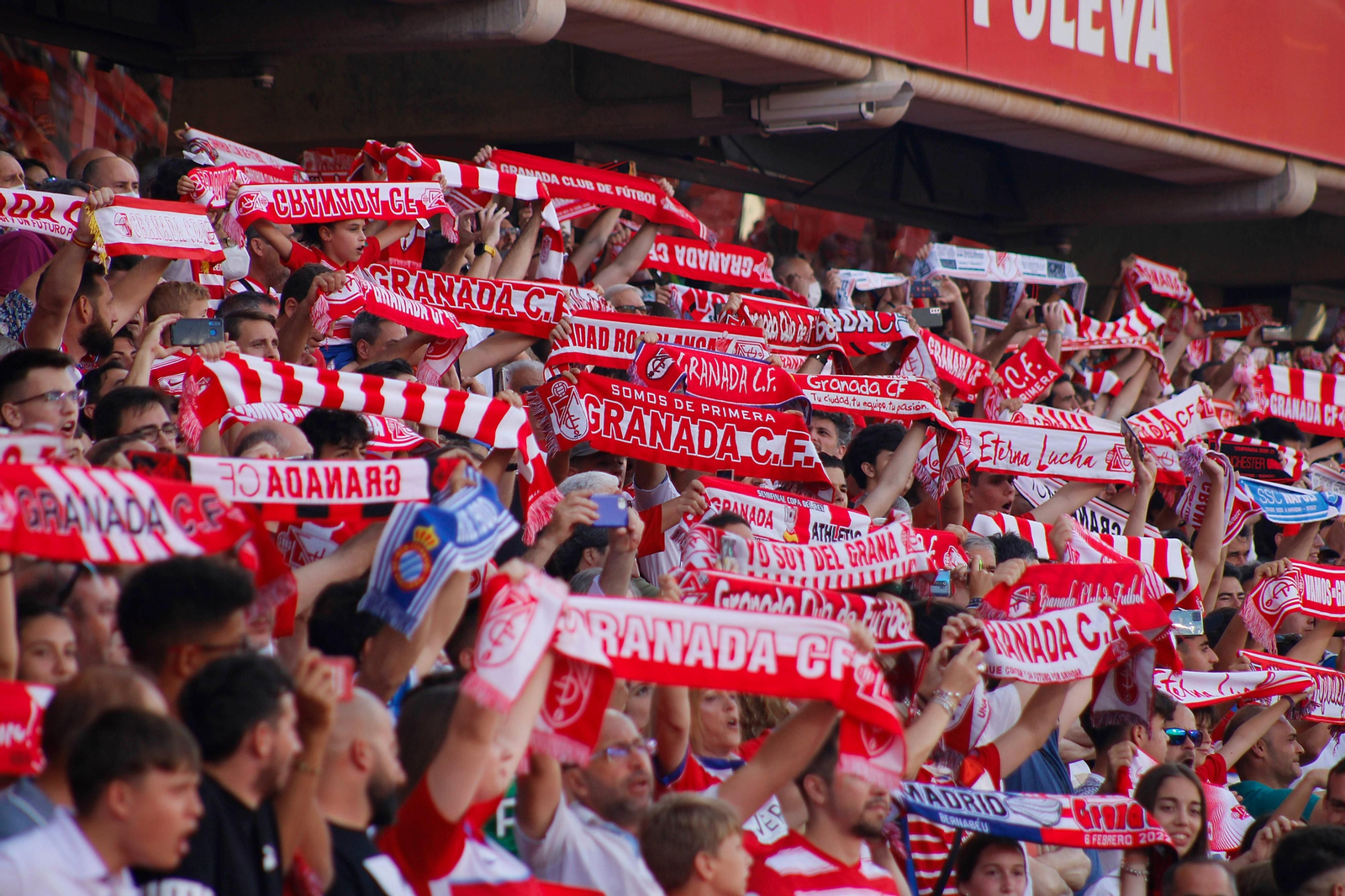 La afición del Granada CF, durante el partido ante el Espanyol