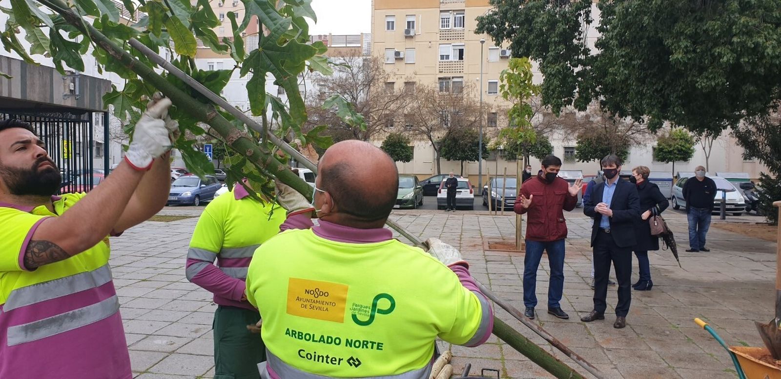 Dos operarios municipales plantan un árbol en el Polígono de San Pablo.