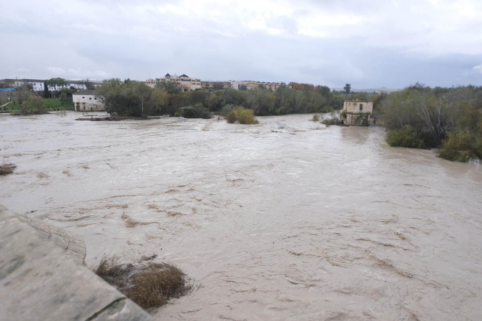 La crecida del río Guadalquivir tras las lluvias en Córdoba, en imágenes