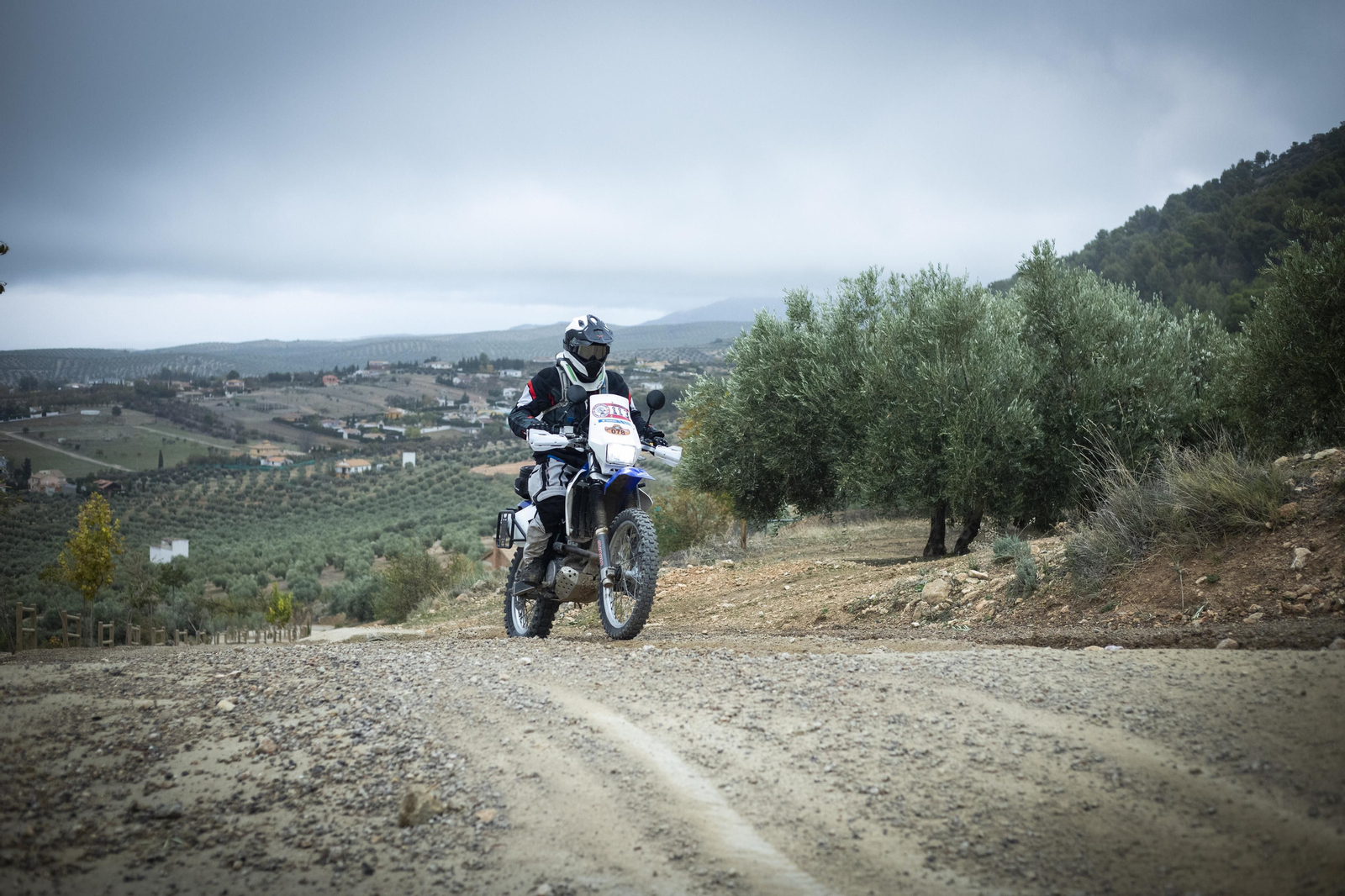 ¿Estuviste en la tercera edición de la ruta Olivobook? Búscate