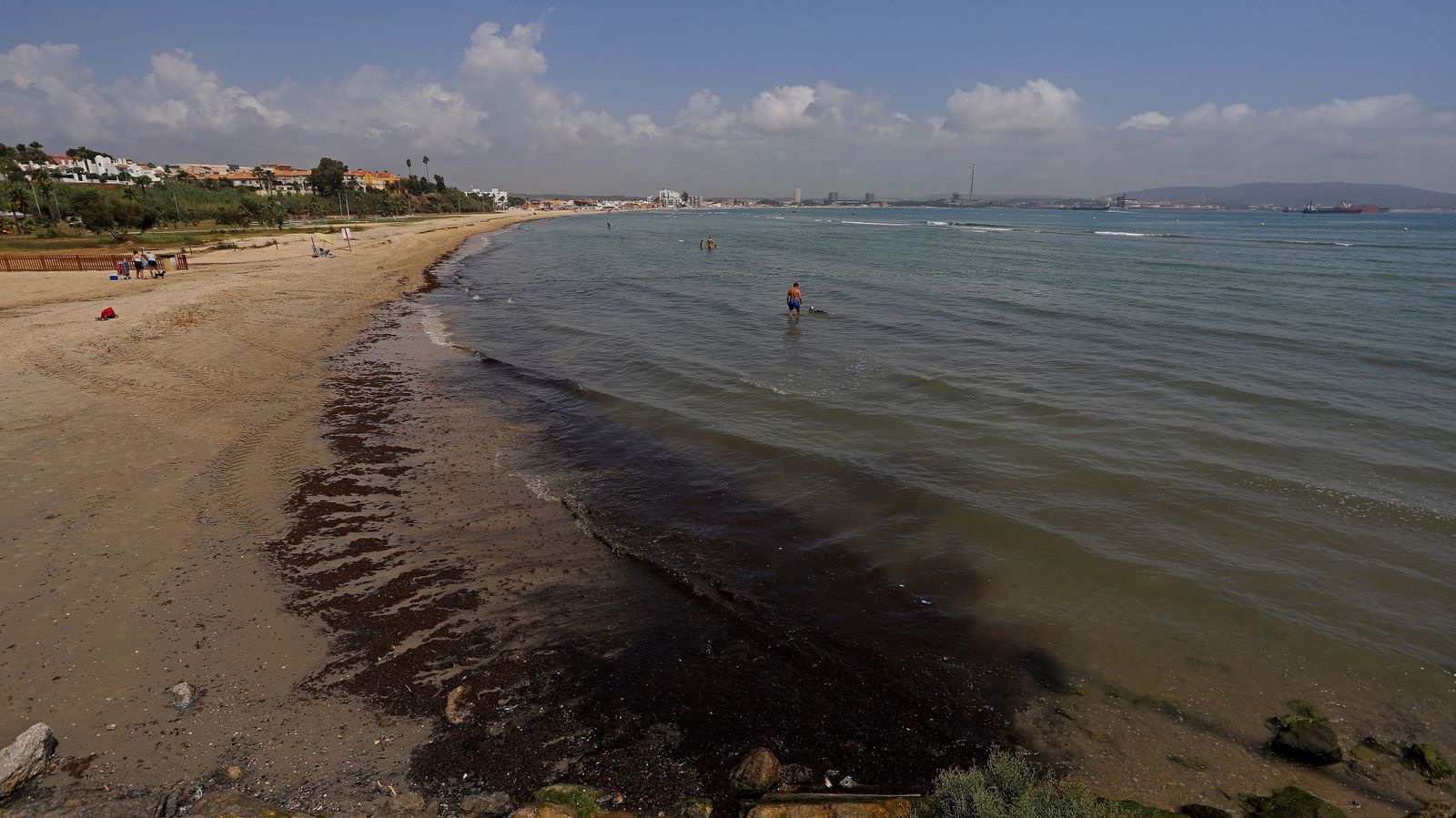 Fotos del alga invasora en El Rinconcillo