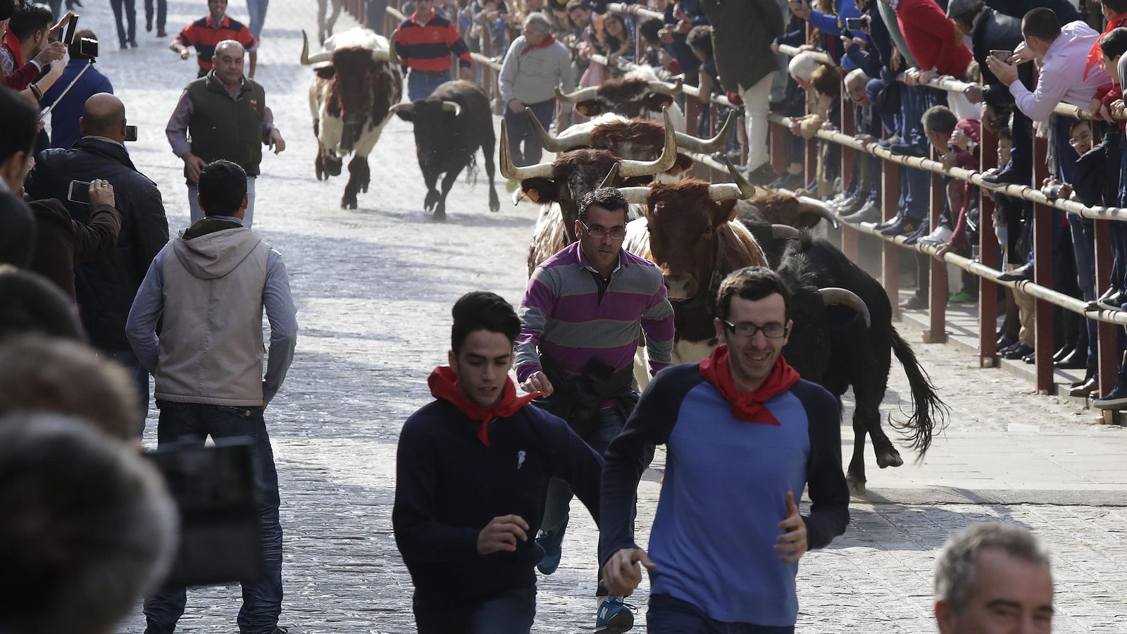 Encierro  en La Puebla del  Río.