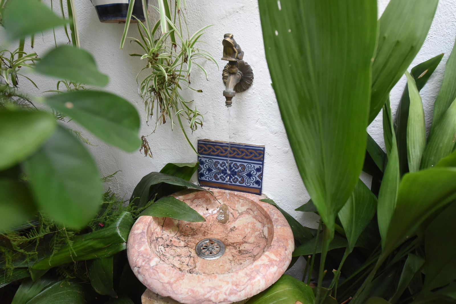 Una ruta en imágenes por los patios de la Judería y San Francisco