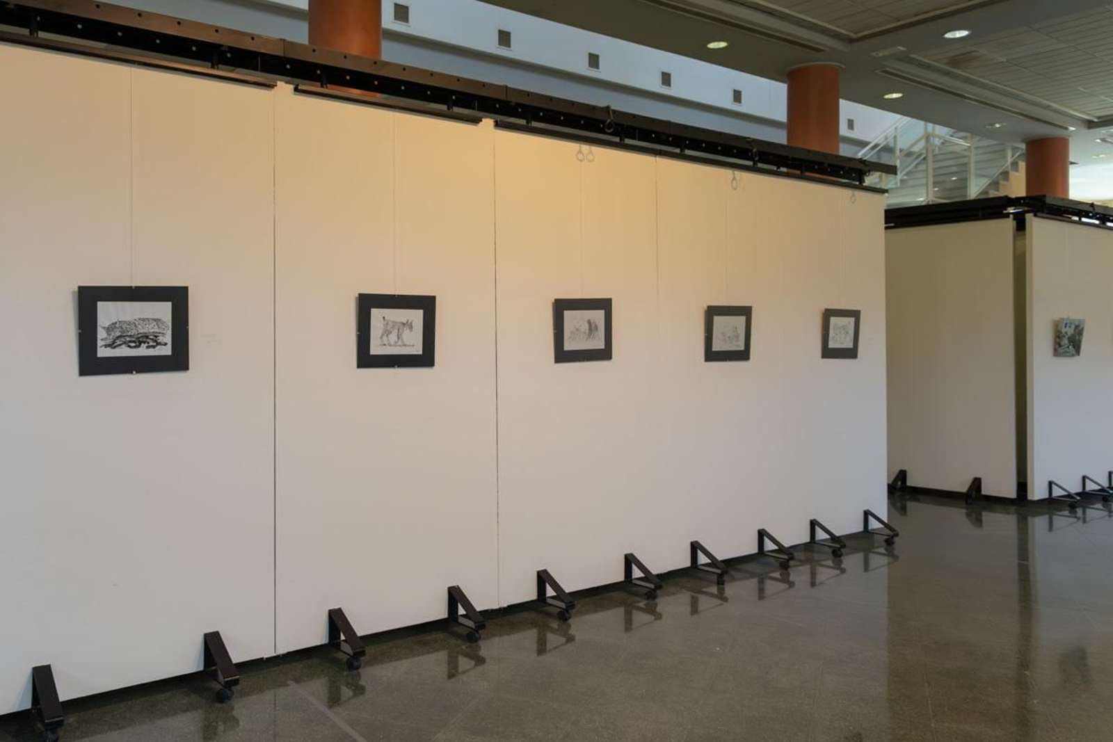 Exposición Los pinceles del lince ibérico, en imágenes