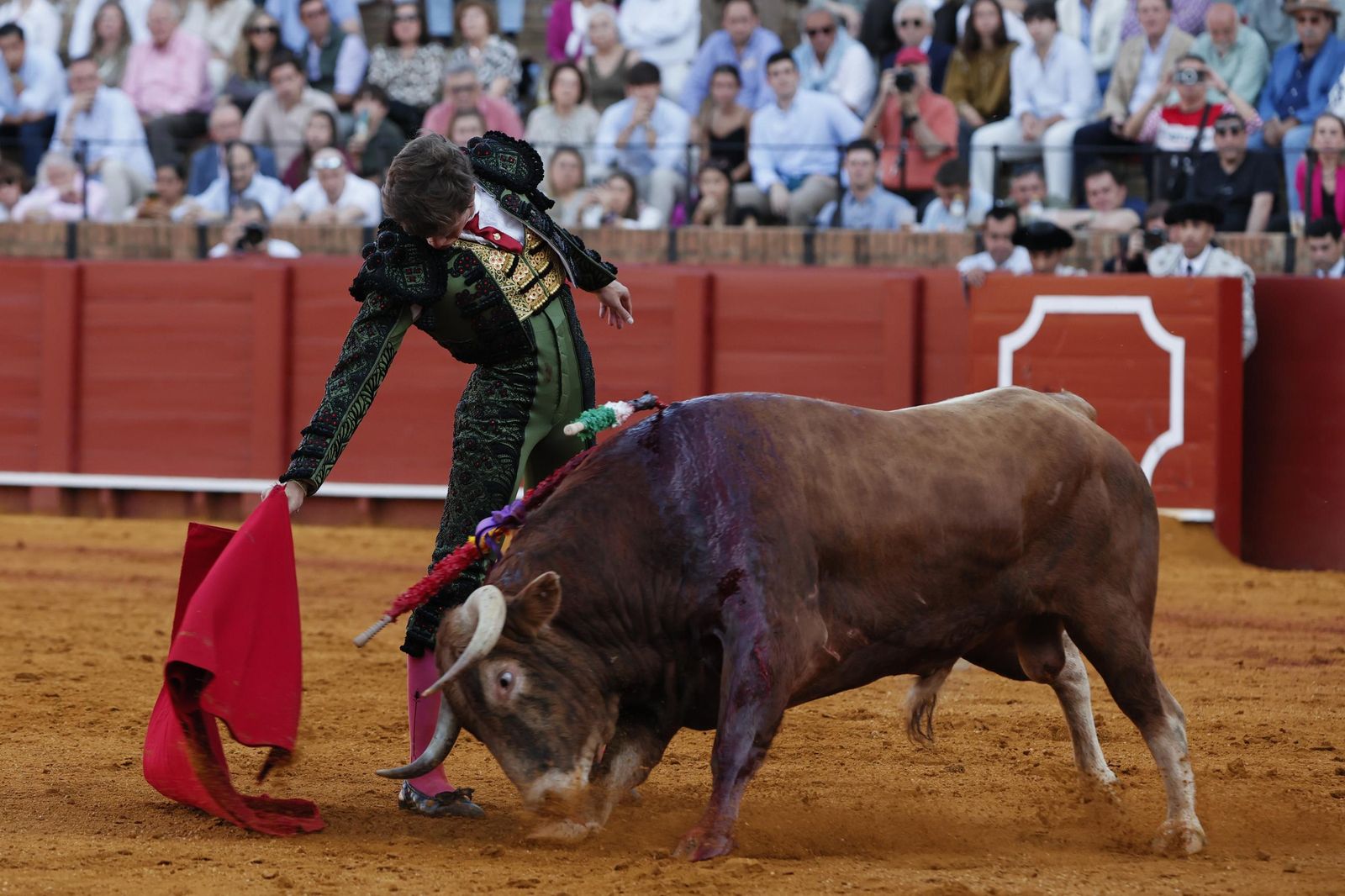 Las imágenes de la Novillada