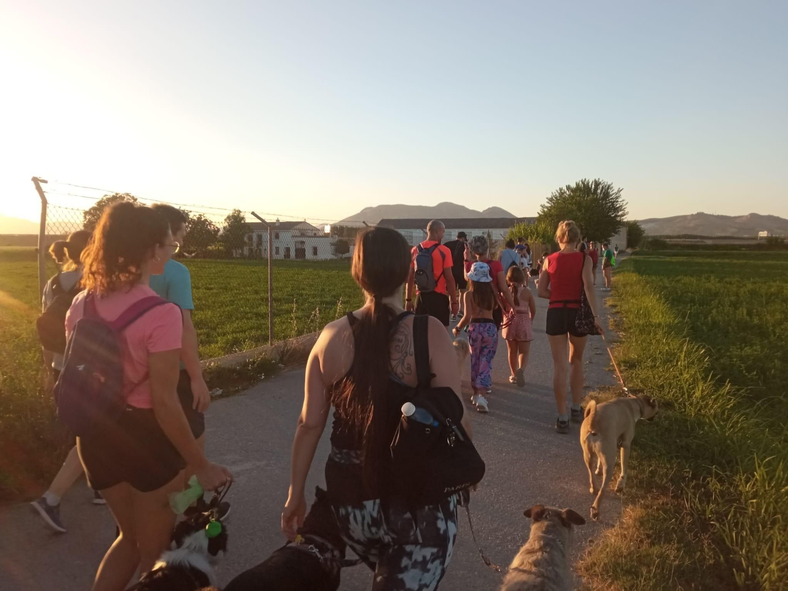 La ruta de senderismo que se puede realizar junto a tu perro en la Vega de Granada