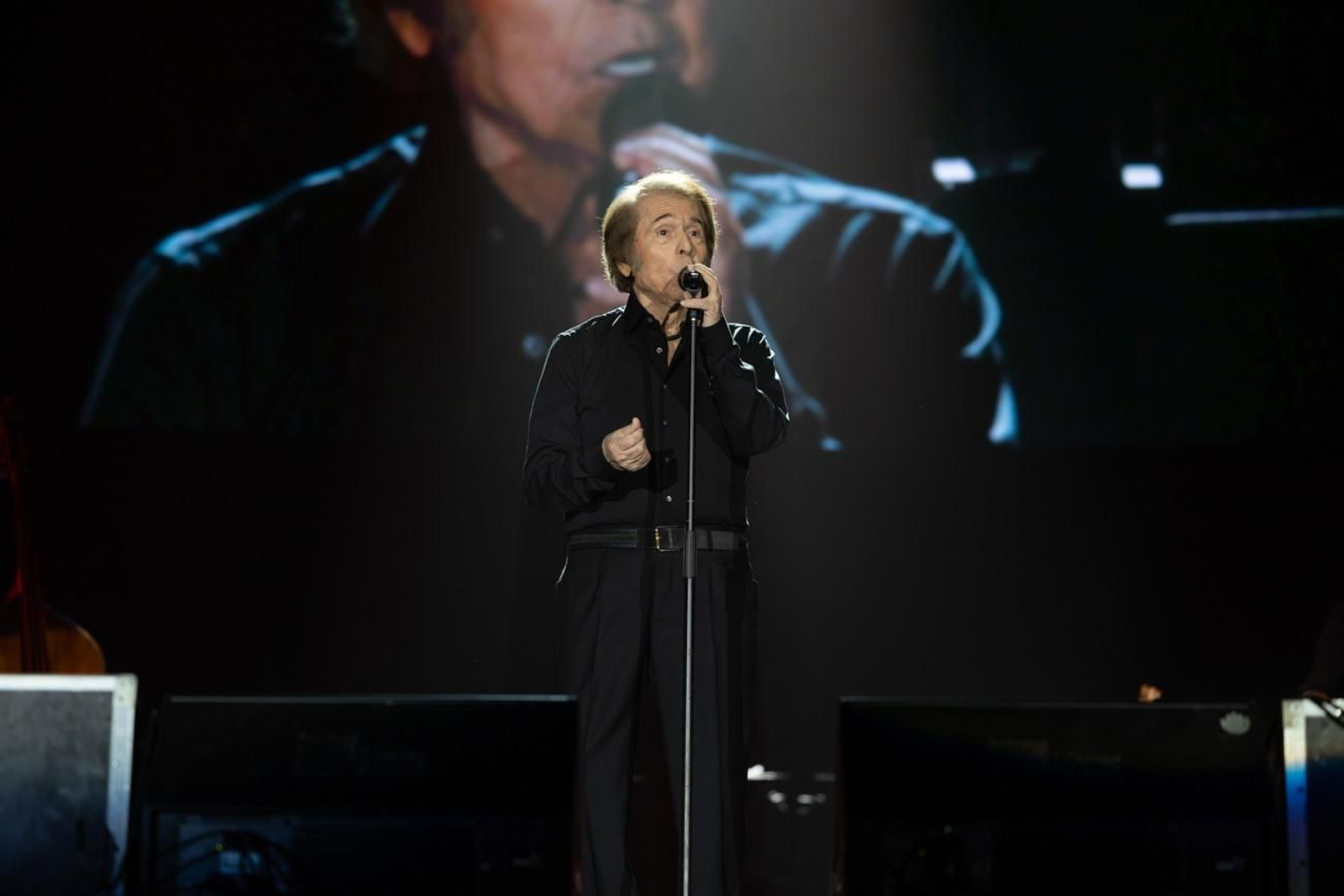 Así se disfruta en Jaén del concierto de Raphael, "Raphaelísimo"