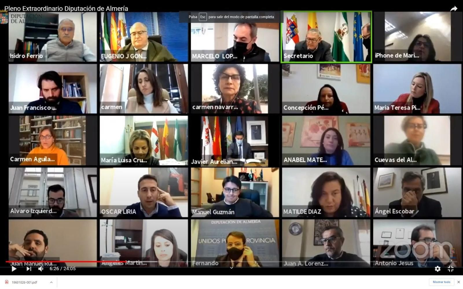 Los diputados provinciales han participado en el Pleno de forma telemática.