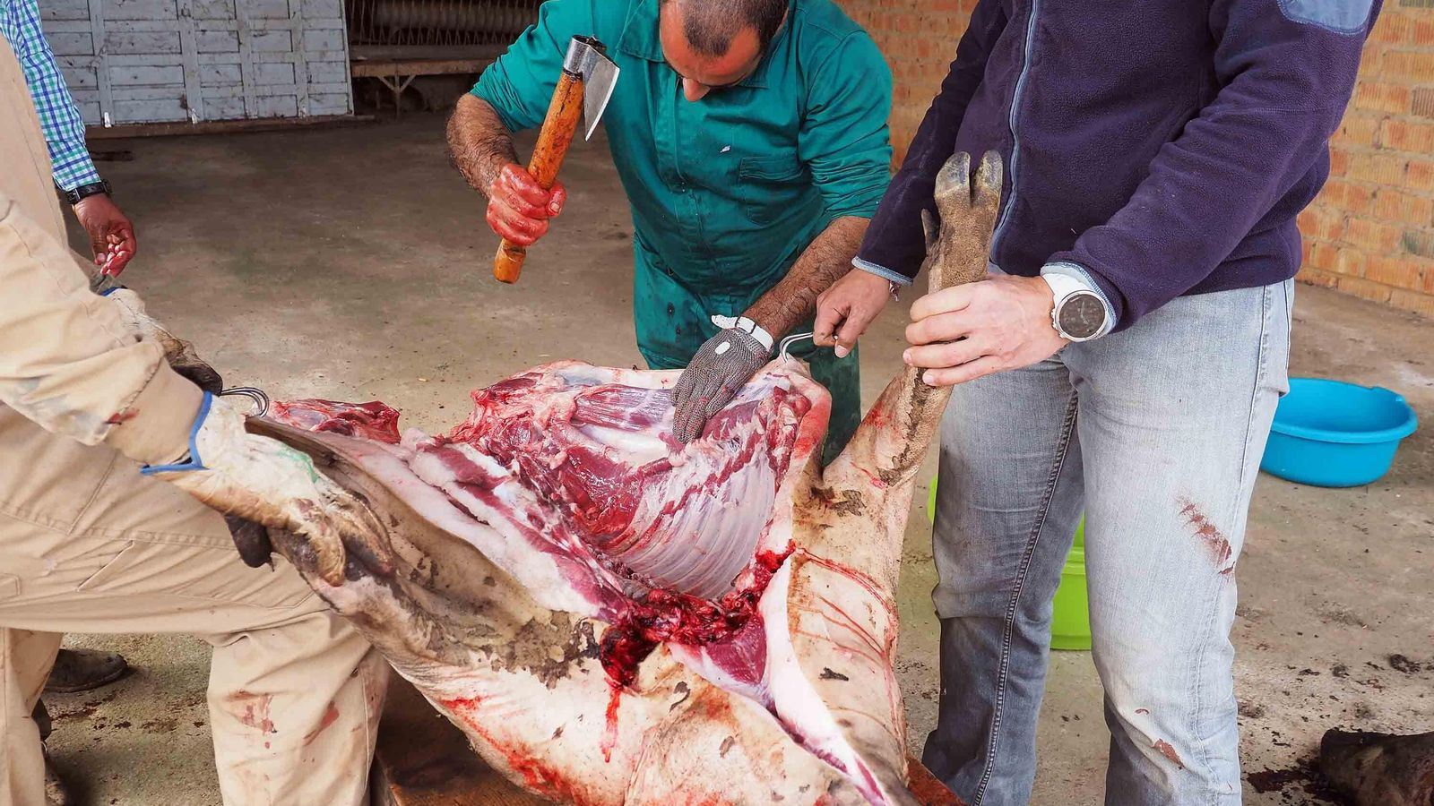 El matarife, en plena faena de despiece de uno de los ejemplares sacrificados