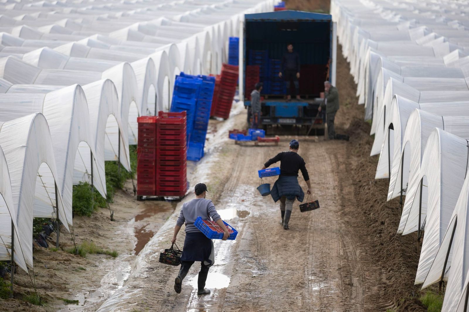 Explotación agrícola en Huelva