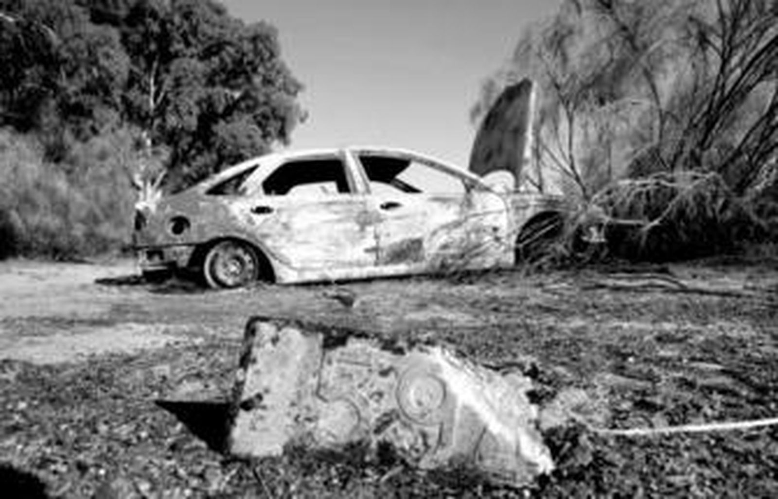 Un coche quemado en un paraje poblado de rastrojos.