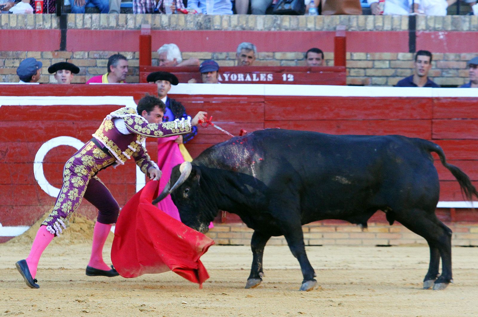 Imágenes de la Novillada de Rafael Serna, Emilio Silvera y Rodrigo Molina.