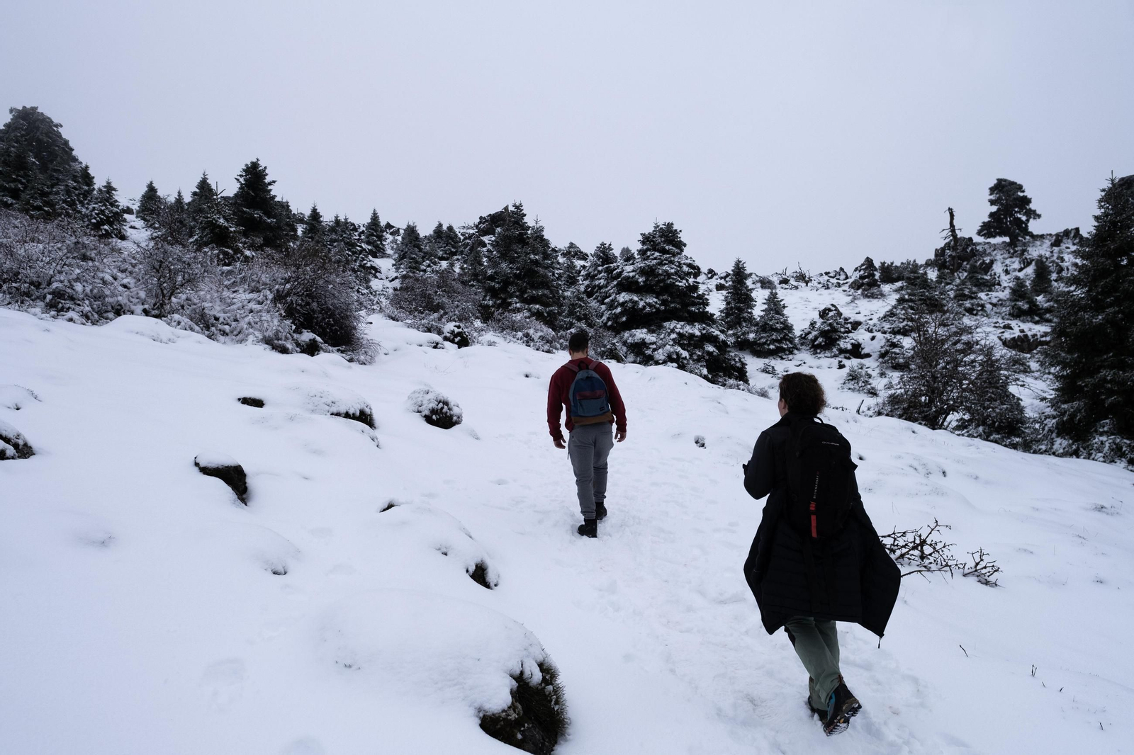La ruta por la nieve en el Parque Nacional Sierra de las Nievas, en imágenes