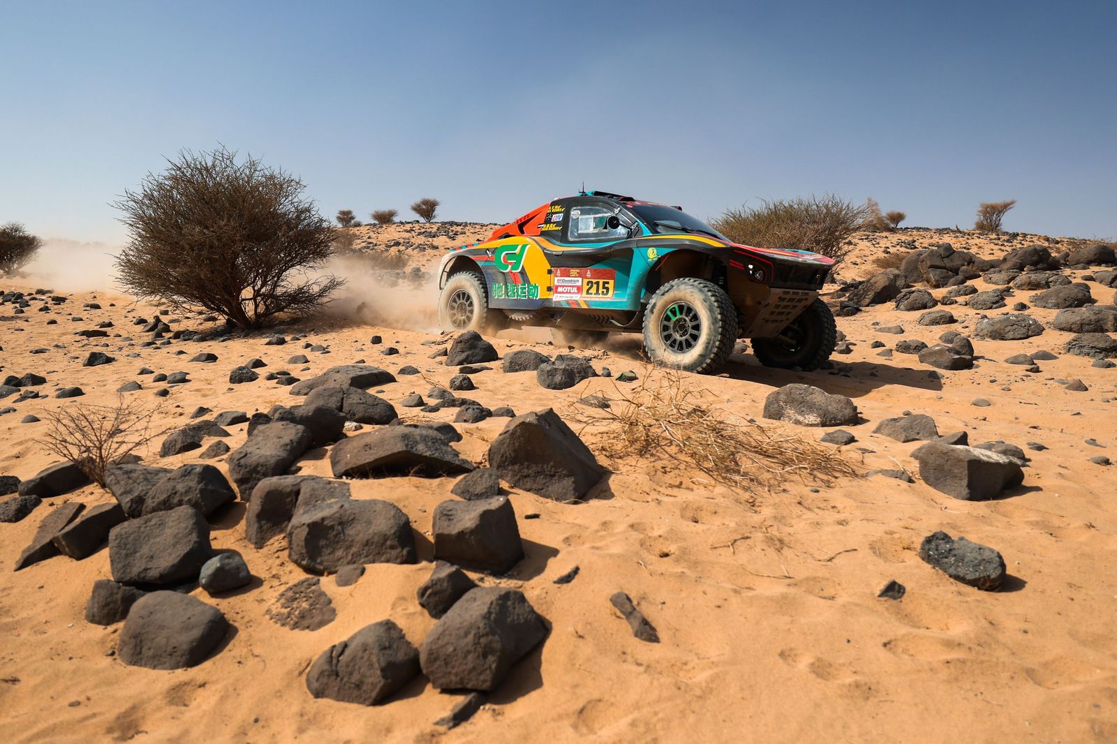 Las mejores fotos del Rally Dakar | undécima etapa