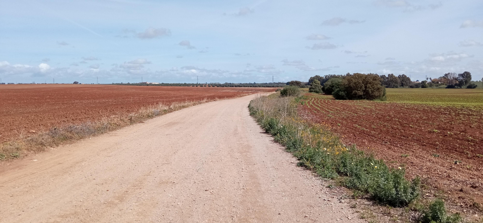 Las imágenes de la Ruta Azul en Bollullos de la Mitación