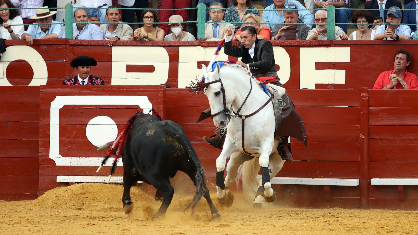 Toros en Jerez: El arte ecuestre