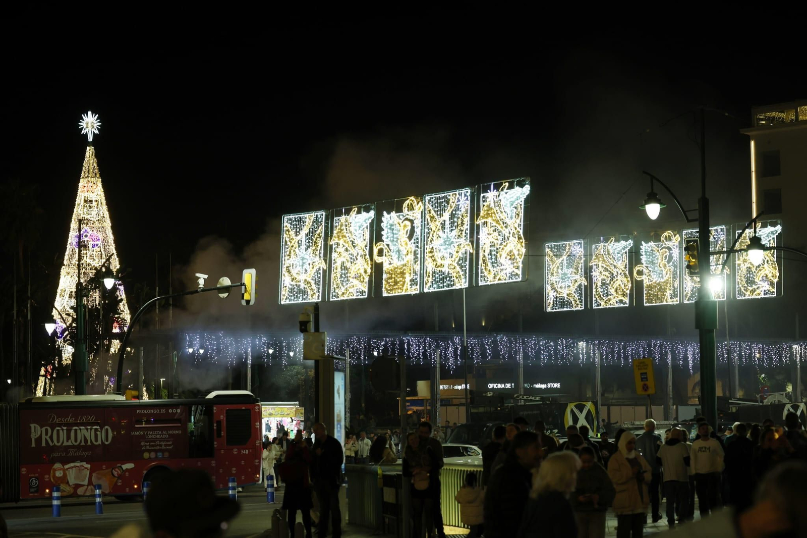 Encendido del alumbrado de Navidad de Málaga, en fotos