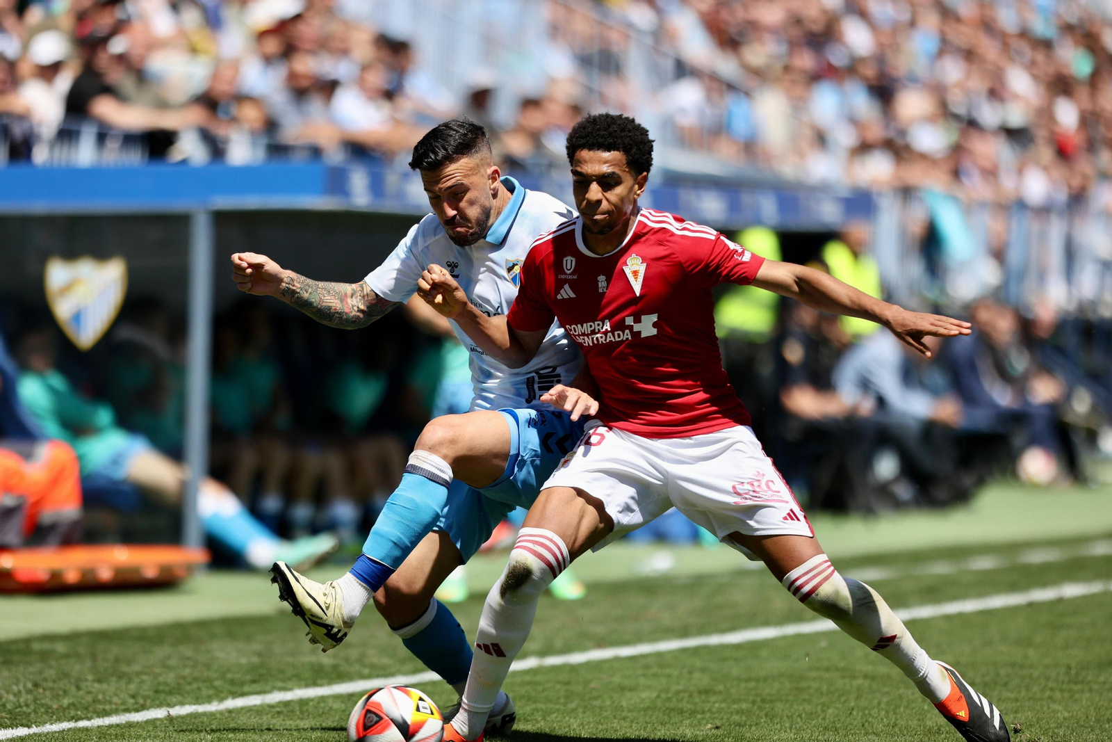 Las fotos del Málaga CF - Real Murcia