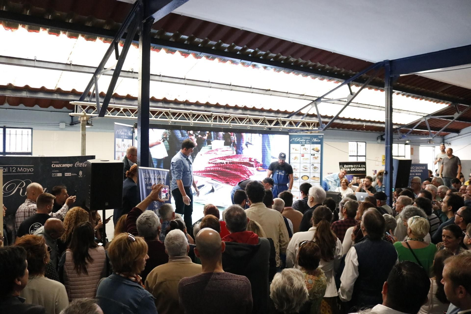 Las mejores fotos de la presentación de la Ruta del Atún en La Línea