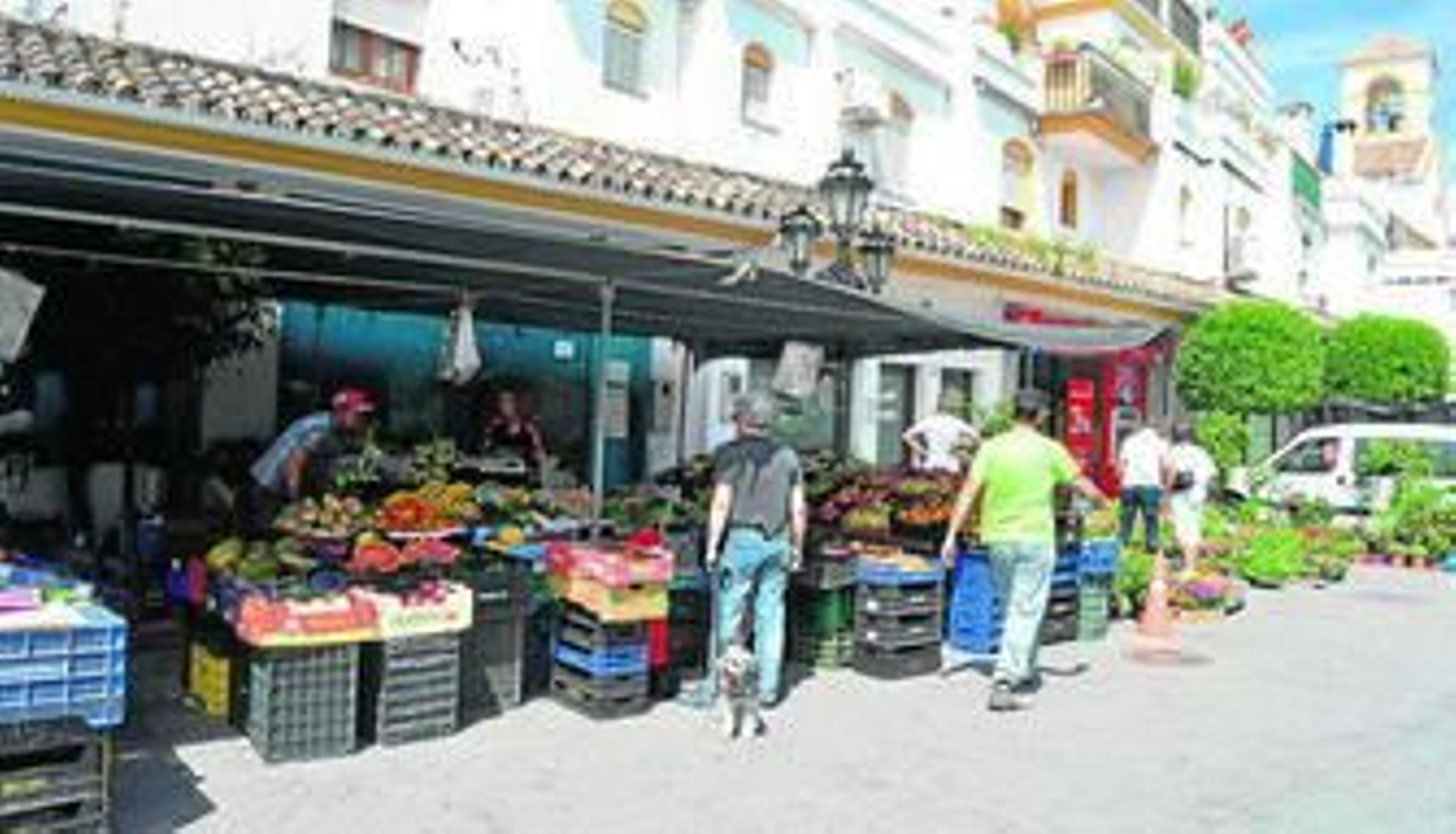 Welcome to BENAHAVÍS