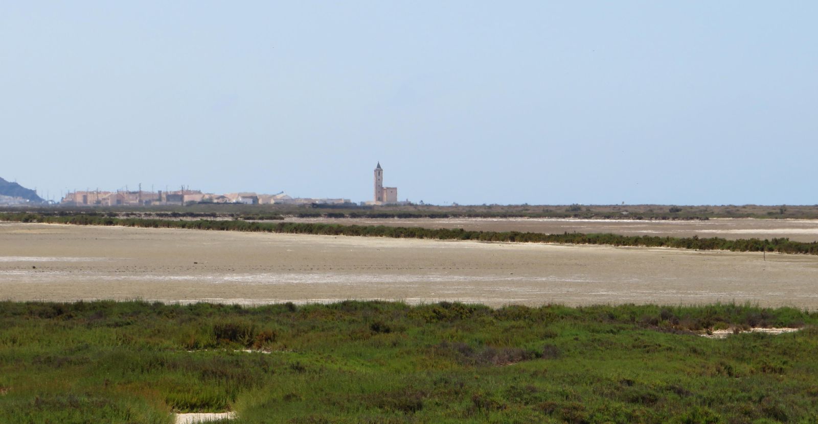 Detectan las primeras aves desorientadas tras la desecación de las Salinas de Cabo de Gata