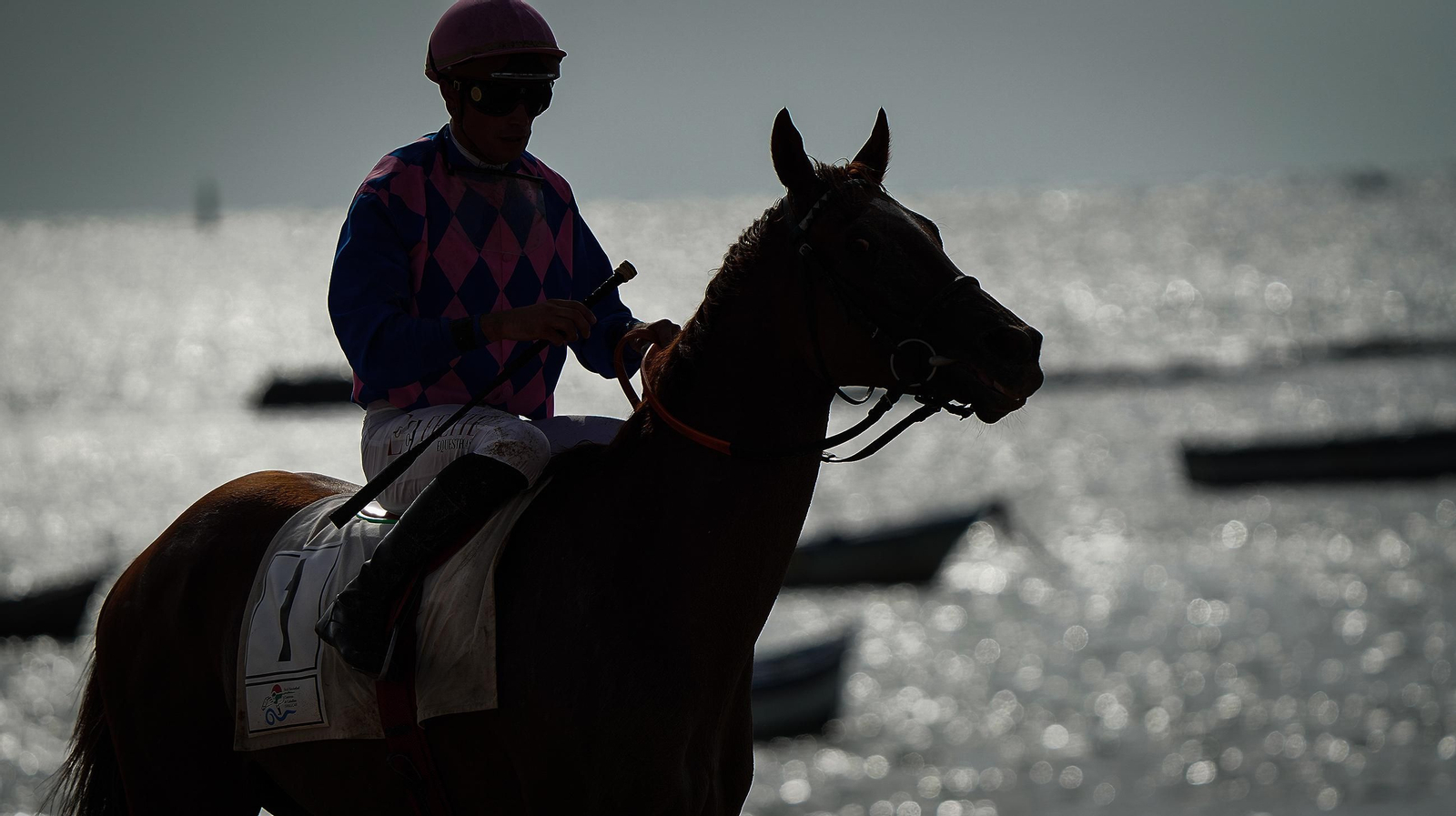 Imágenes de las Carreras de Caballos de Sanlúcar