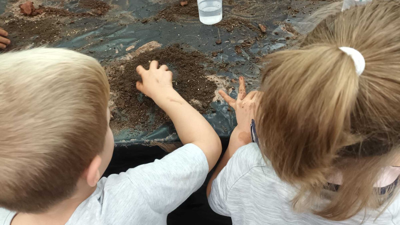 Reforestación en Córdoba del Movimiento Smart Green de LG