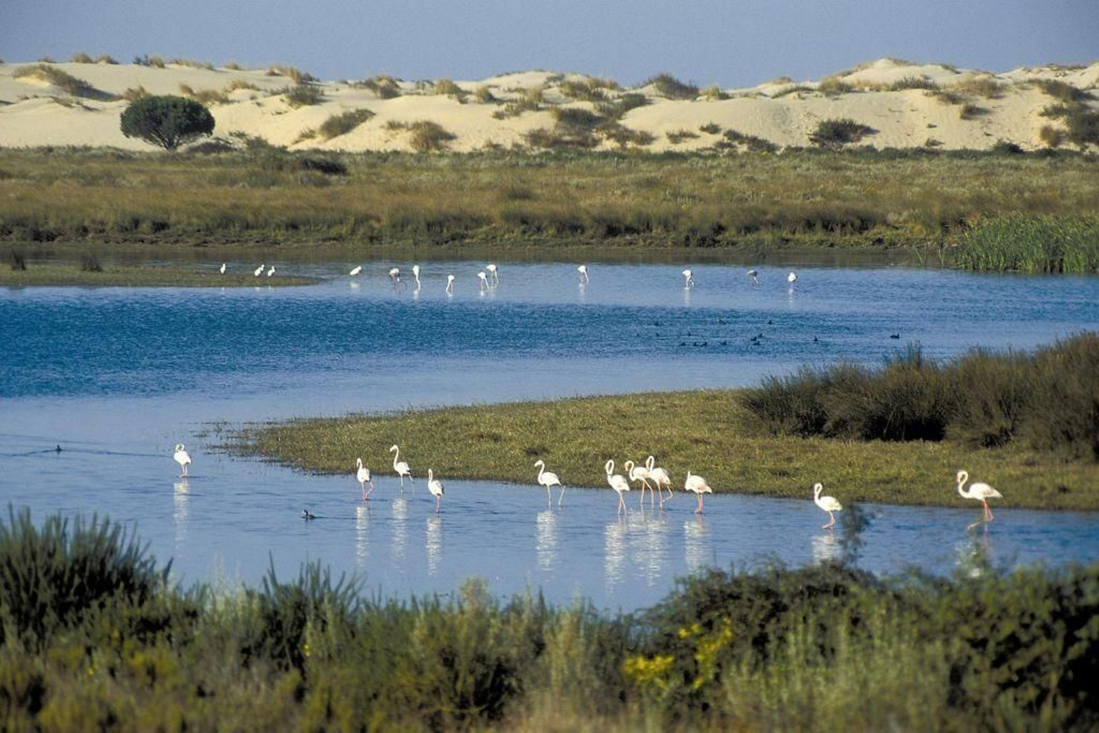 Espacio Natural Doñana
