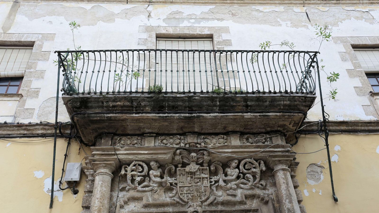 Algunas plantas invasivas han comenzado a colonizar el balcón principal y otras zonas de la casa palacio. Algunas plantas invasivas han comenzado a colonizar el balcón principal y otras zonas de la casa palacio.