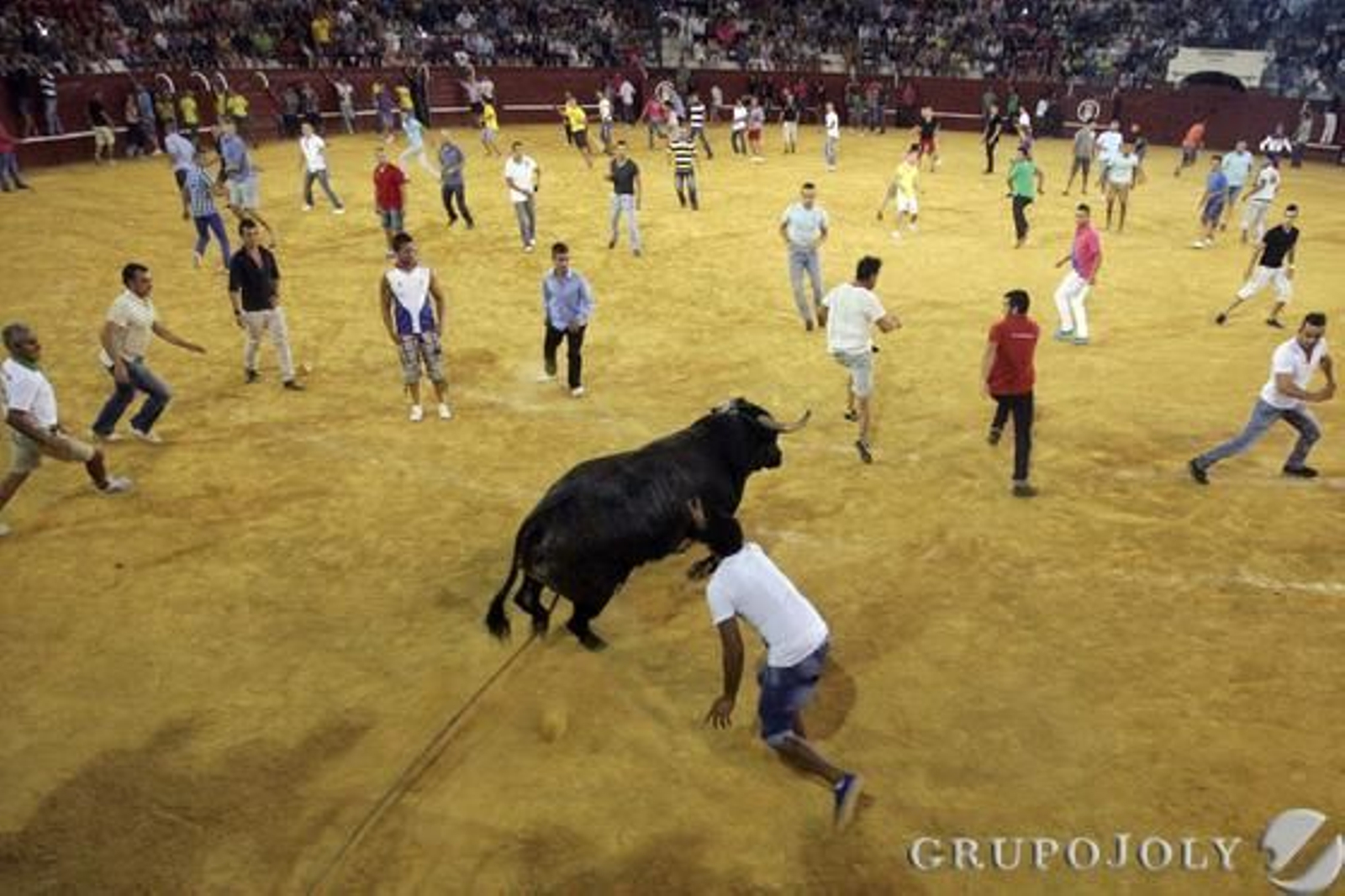 Numerosos mozos se arremolinan en la arena de la plaza de toros de San Roque para correr delante del toro del Aguardiente.

Foto: José María Quiñones