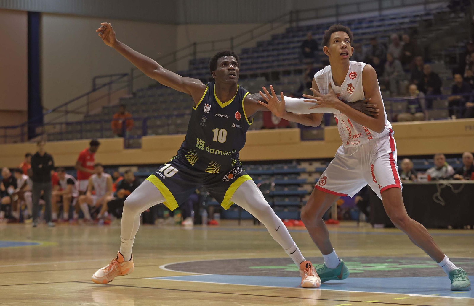 Las mejores fotos del Udea - Cultural Leonesa de Segunda FEB