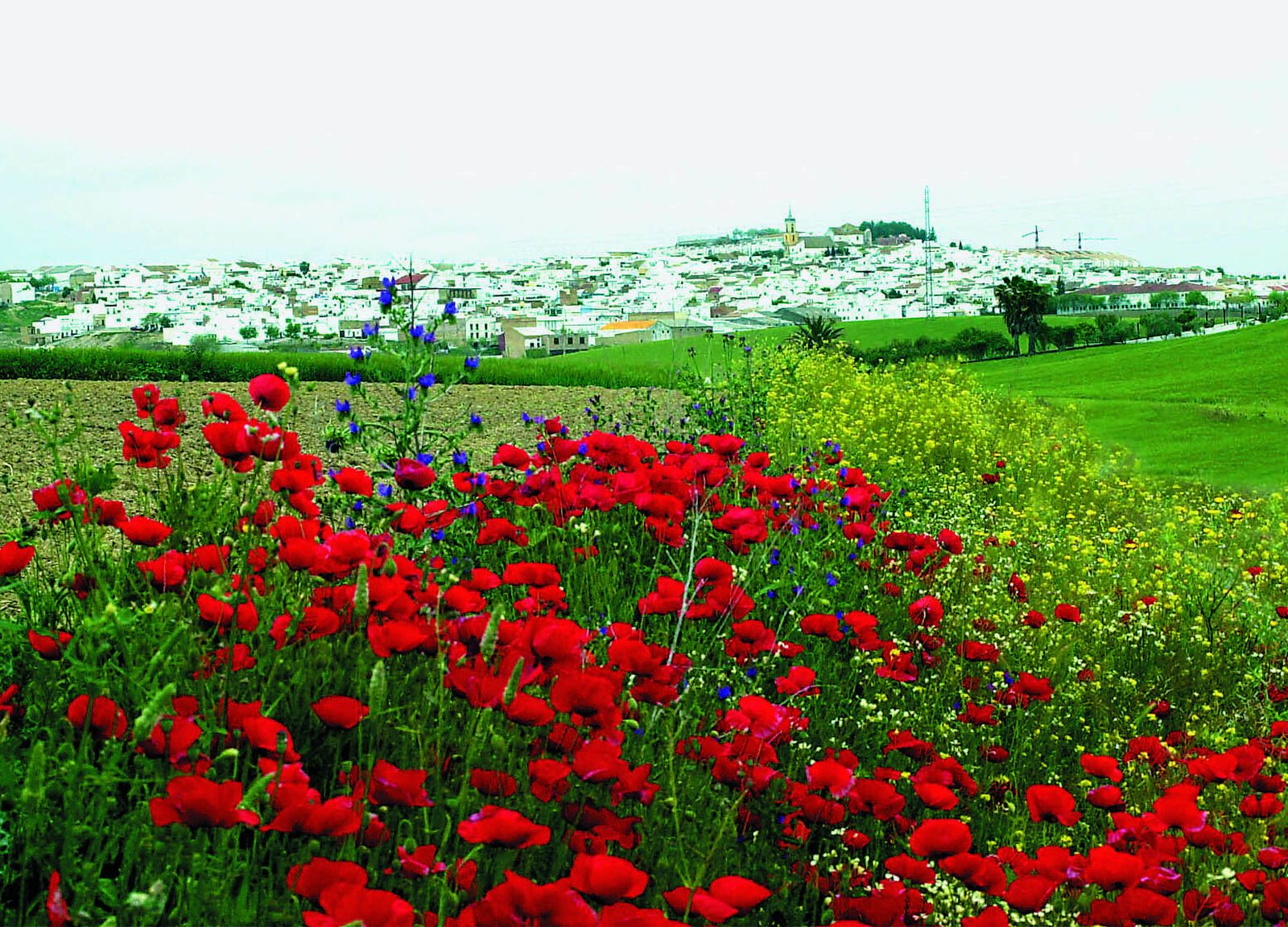Panorámica de la localidad serrana de Villamartín, donde sucedieron los hechos.