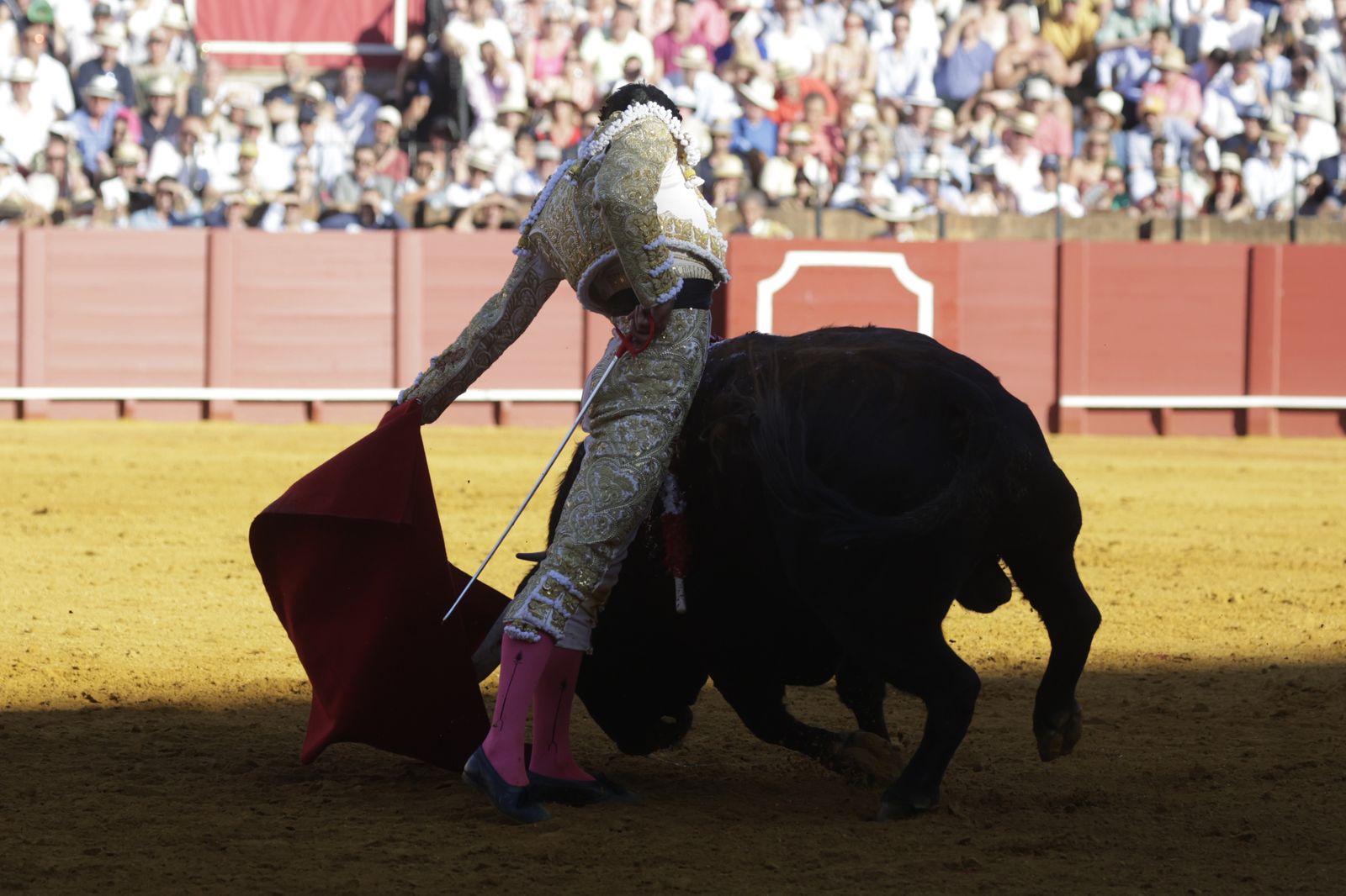 Las imágenes del festejo