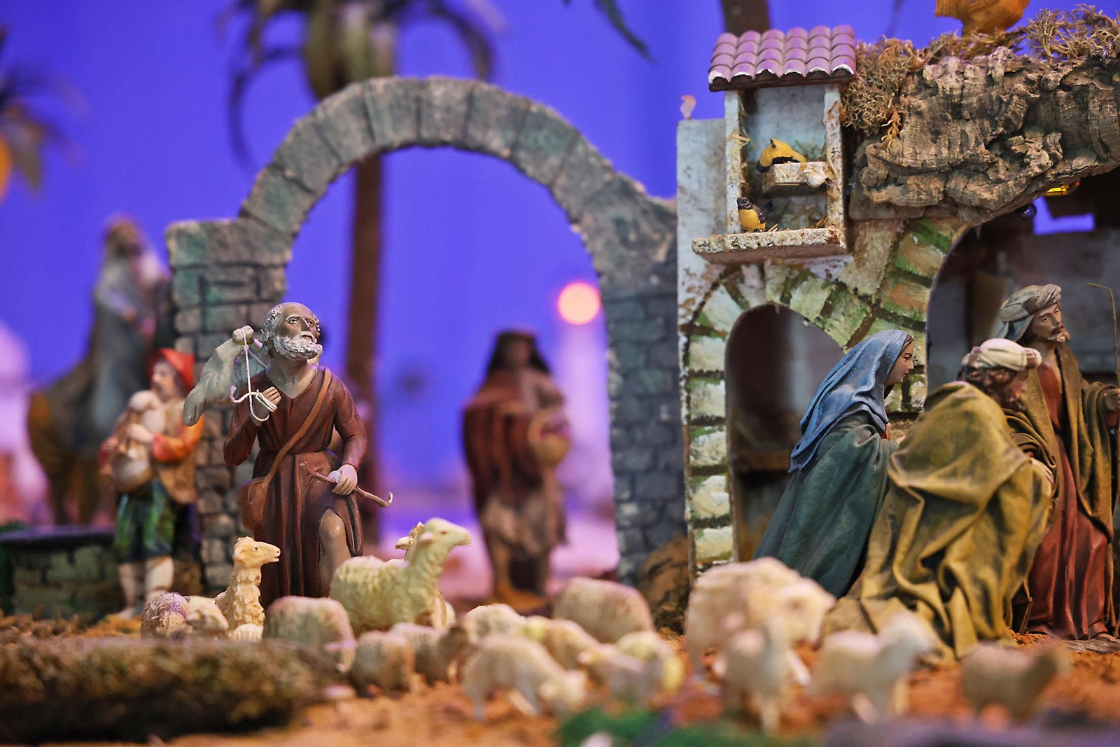 Imágenes del Nacimiento de la Hermandad del Nazareno