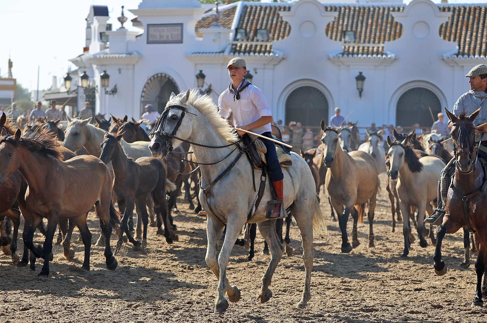 Las mejores imágenes de la Saca de las Yeguas 2025