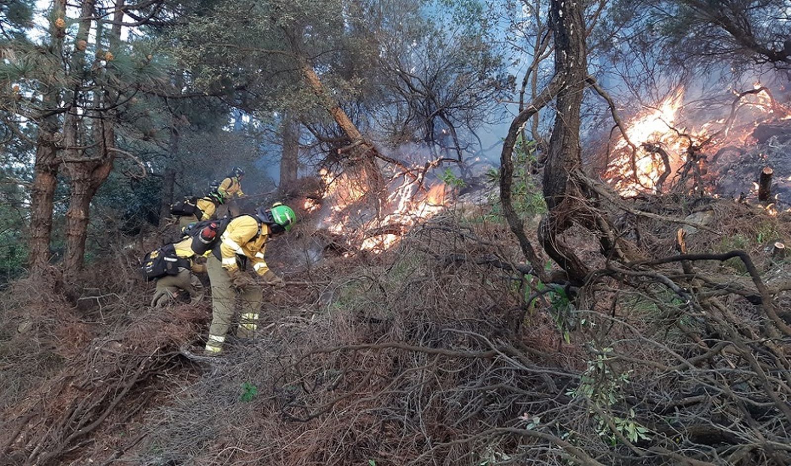 Efectivos del Plan Infoca durante las tareas de extinción.