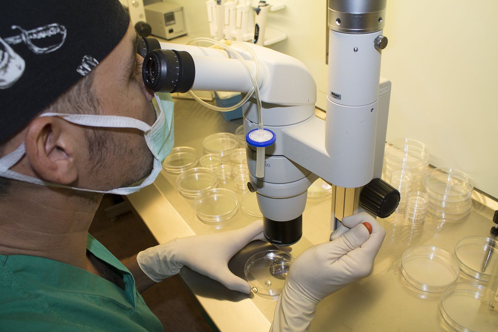 Trabajo de precisión con el microscopio.