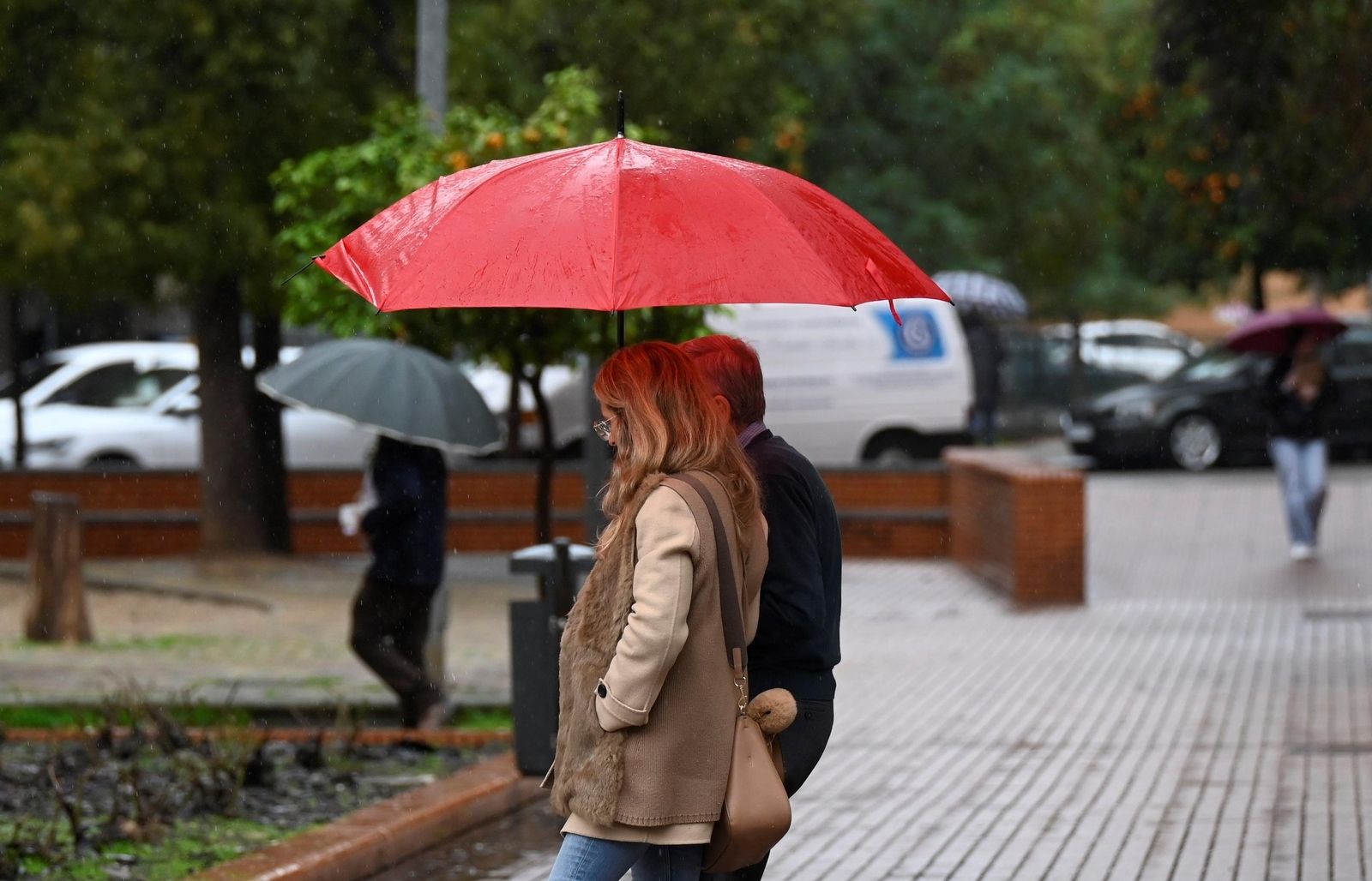 Las imágenes del Día de Andalucía pasado por agua en Córdoba