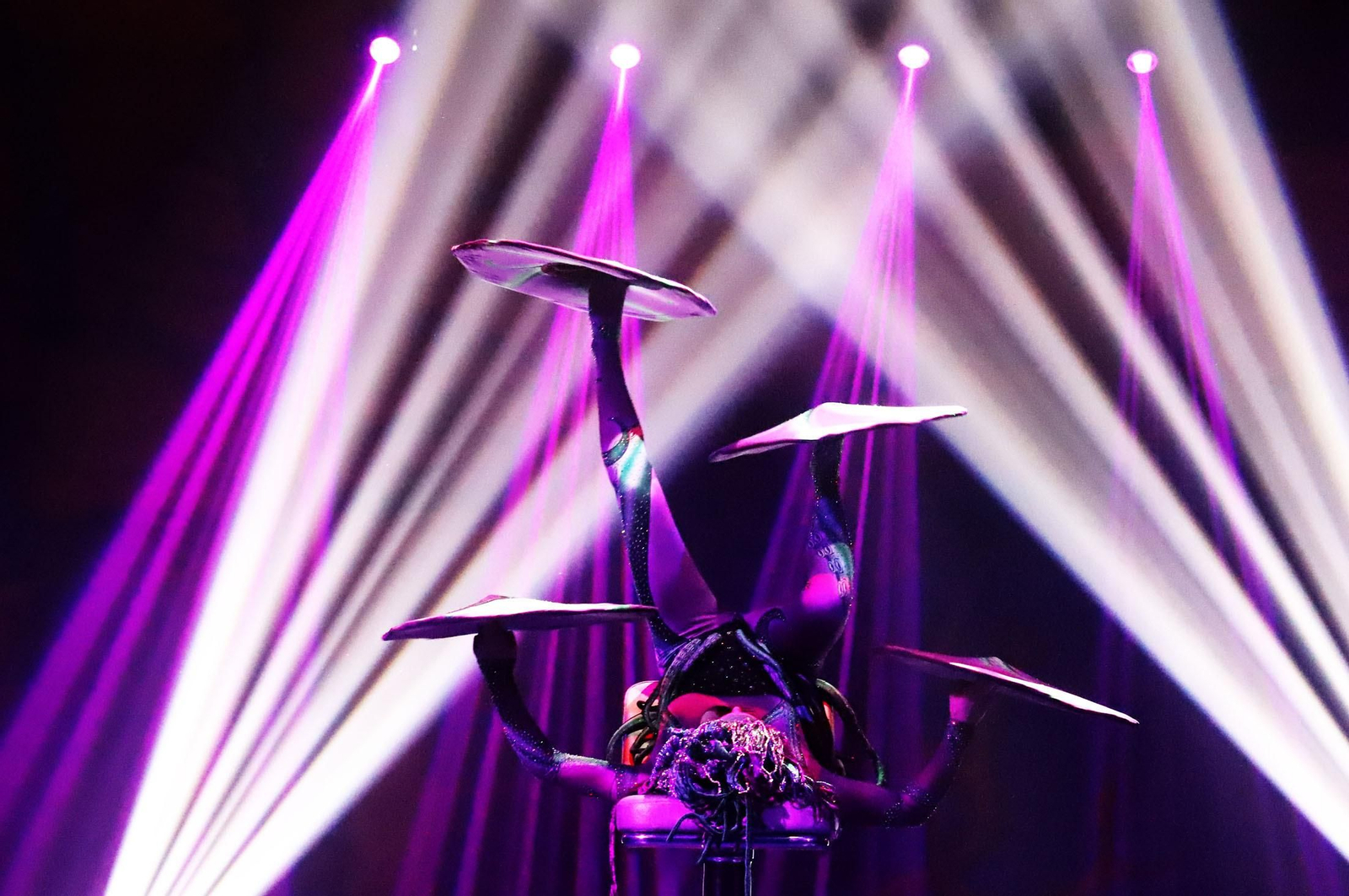 Días de circo en Los Arcos