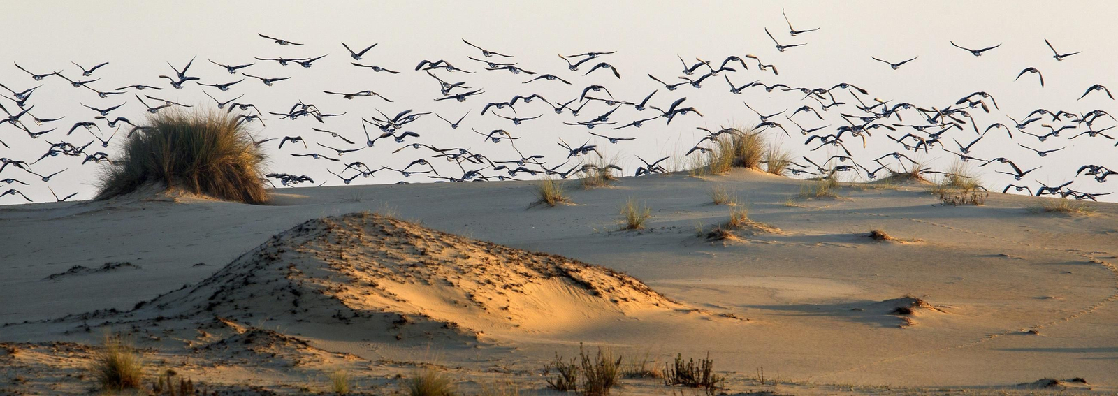 La provincia con más porcentaje de espacios naturales protegidos de España