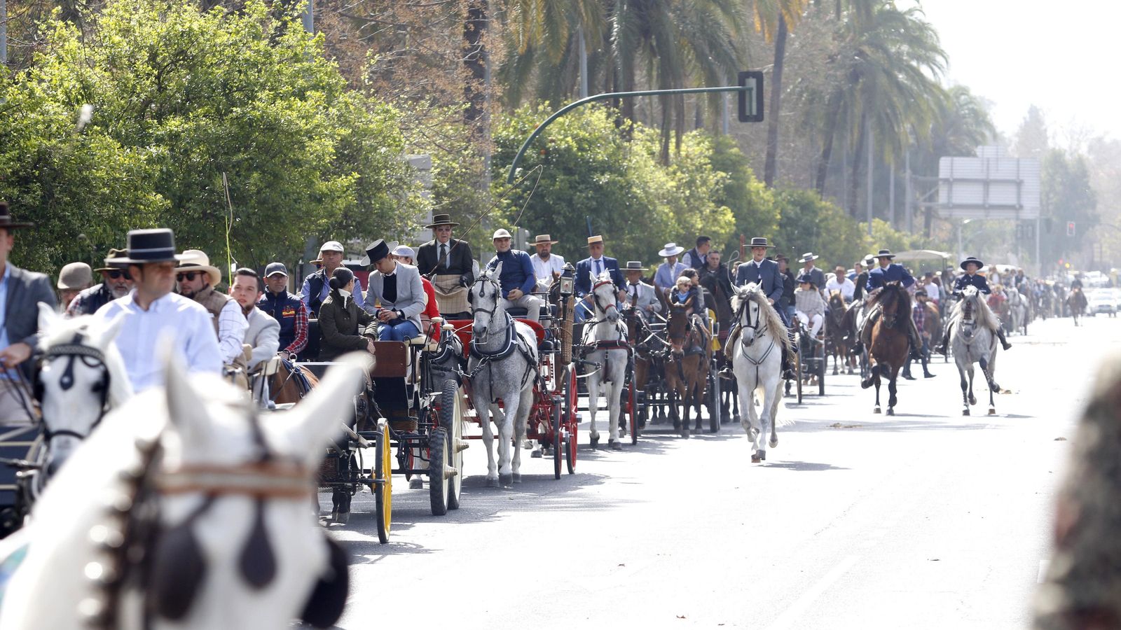Detalle de carruajes participantes.