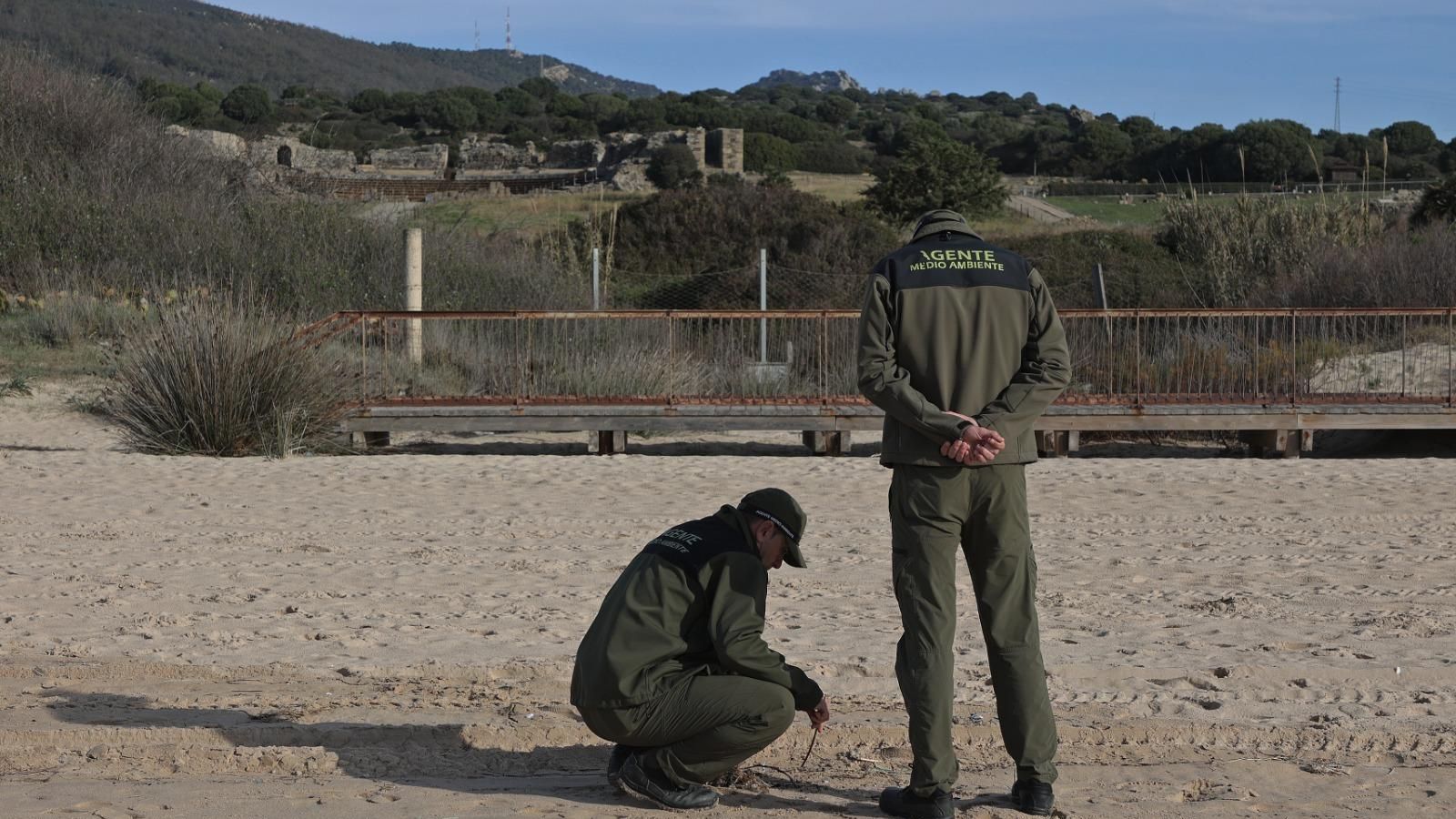 Agentes de Medio Ambiente de la Junta de Andalucía, este jueves en Bolonia. Agentes de Medio Ambiente de la Junta de Andalucía, este jueves en Bolonia.