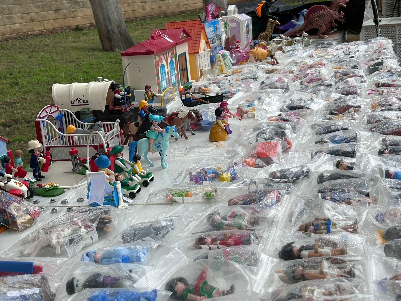 Rastrillo del domingo Jerez