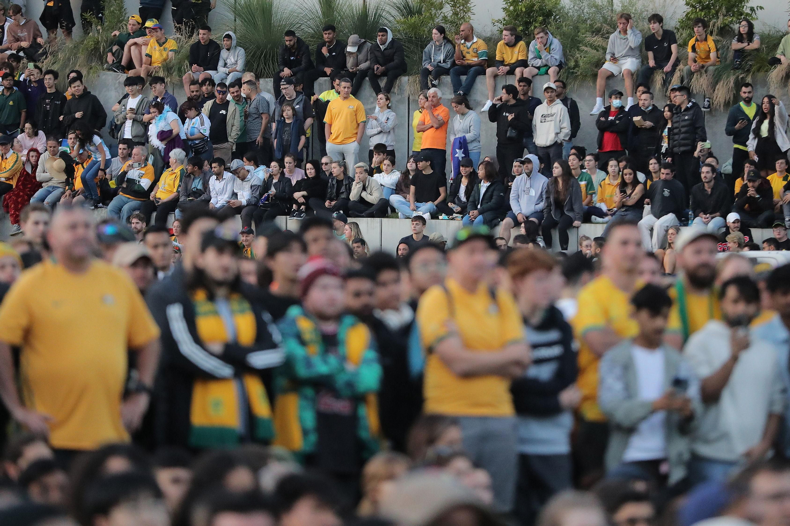 Las fotos del Argentina - Australia