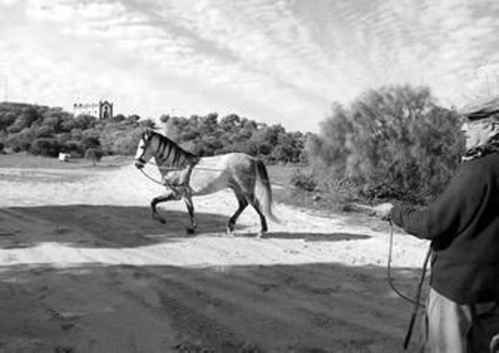 Uno de los caminos de tierra que actualmente conforman el Parque del Cerro.