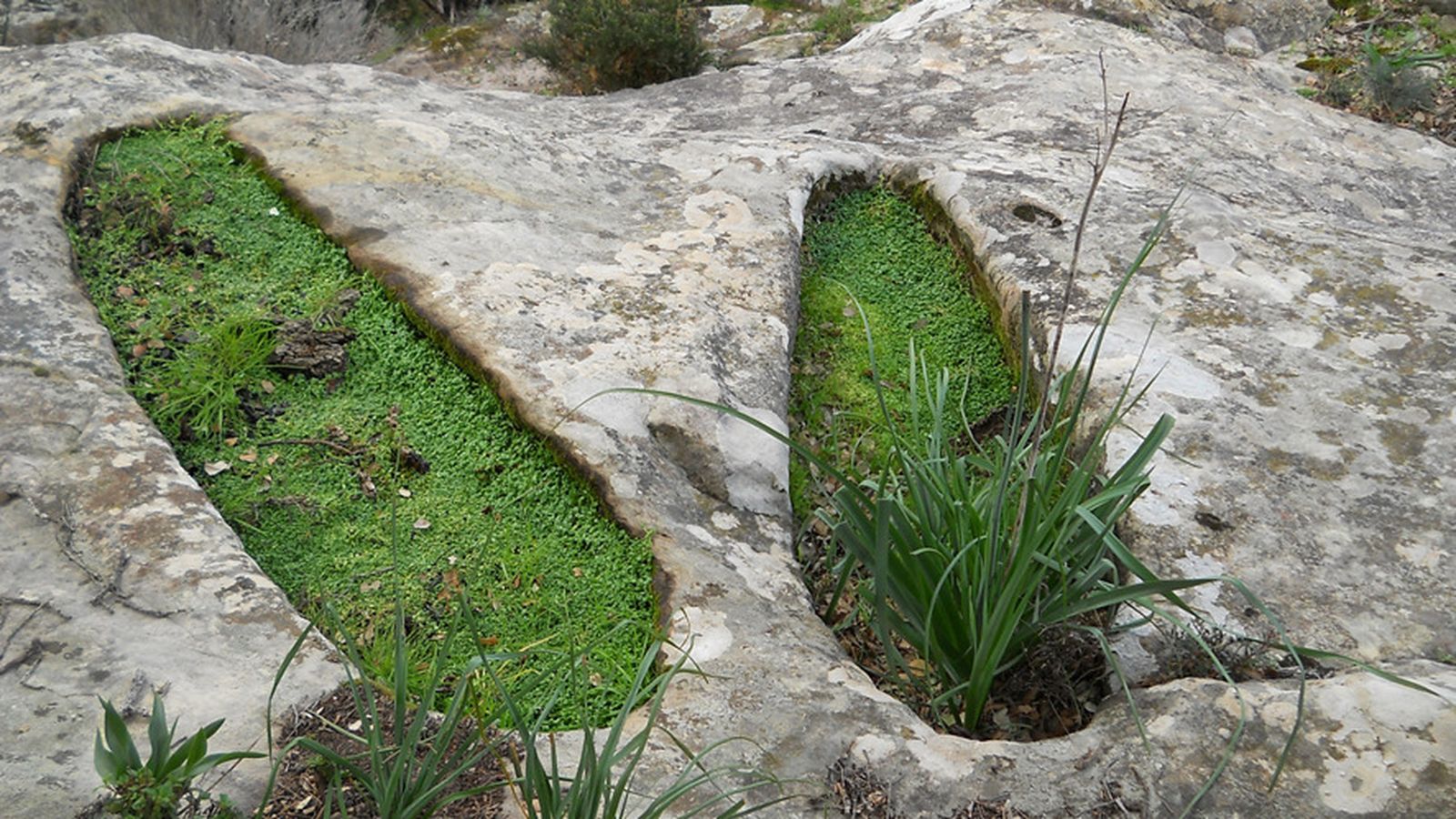 Tumbas antropomorfas próximas a la Cueva del Cancho.
