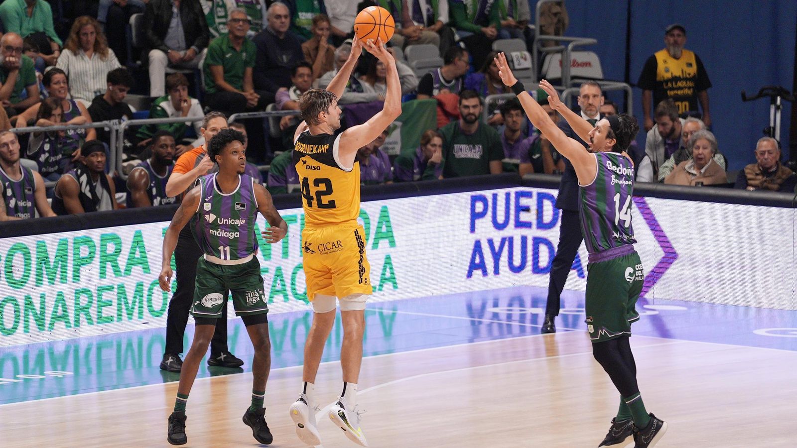 El Unicaja-La Laguna Tenerife, en fotos