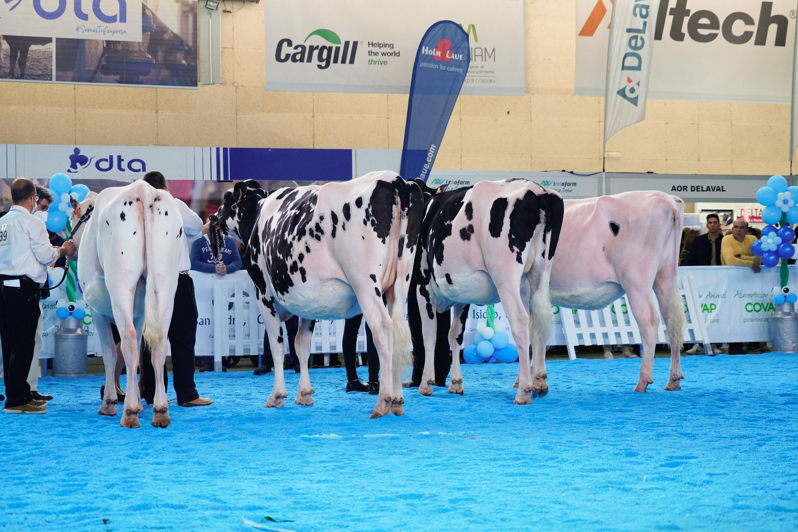 La Feria de Ganado Frisón Usías Holsteins de Dos Torres, en fotografías