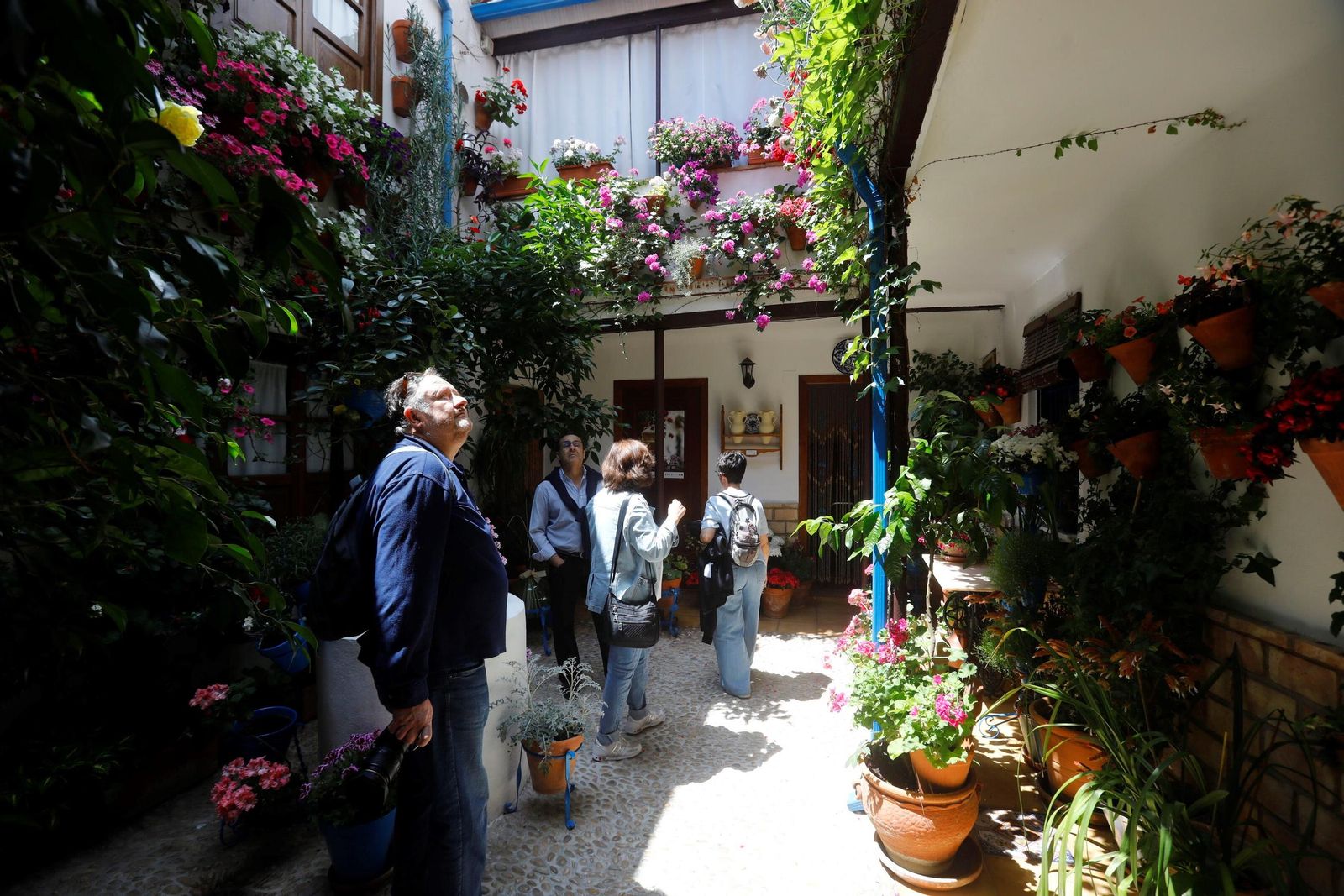 Un recorrido en imágenes por los patios de la ruta Regina-Realejo