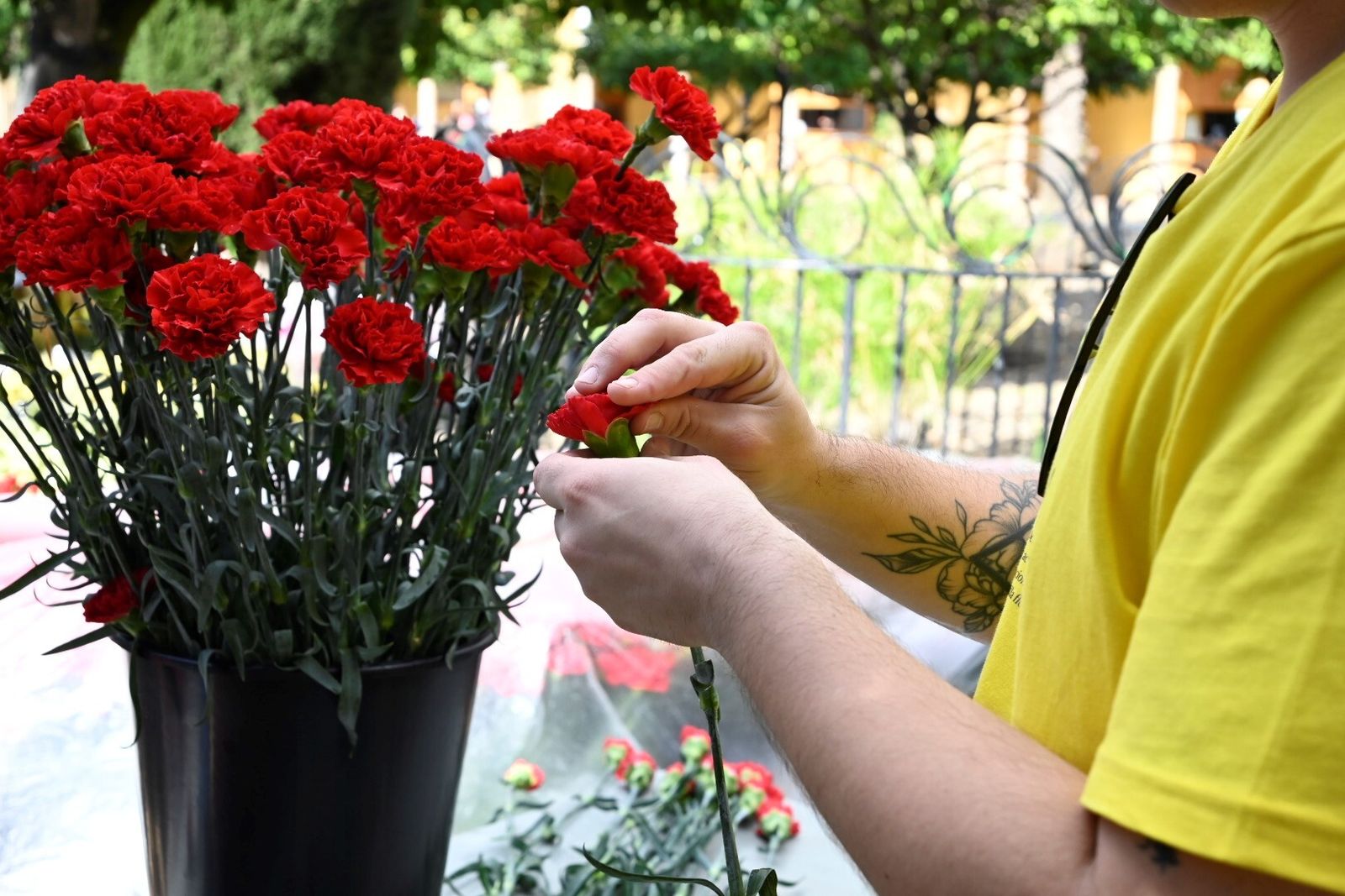 El avance de las creaciones de Flora, en imágenes
